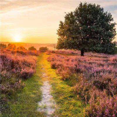 365体育官方唯一入口